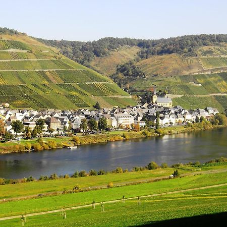 Weinstube Pension Moselbluemchen Zeltingen-Rachtig Eksteriør billede