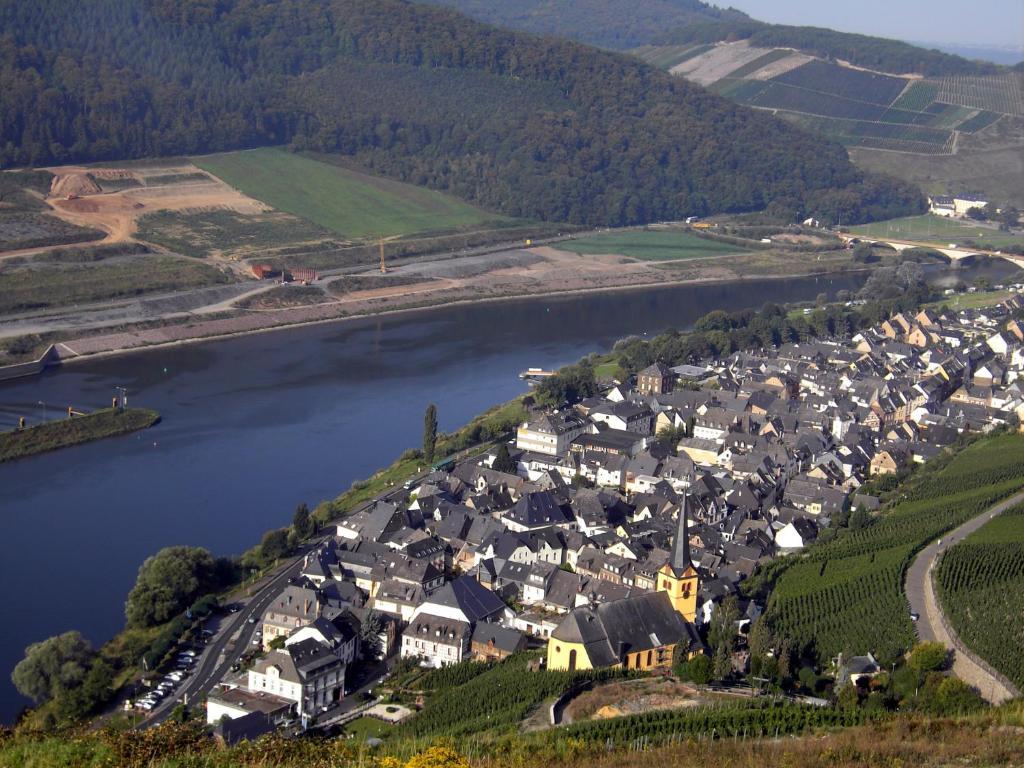 Weinstube Pension Moselbluemchen Zeltingen-Rachtig Eksteriør billede